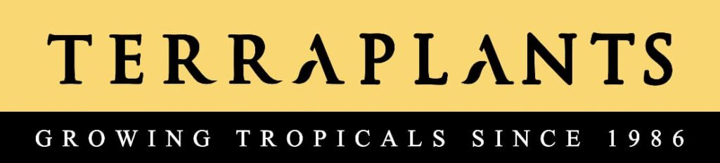 terraplants greenmusic sembraton green music